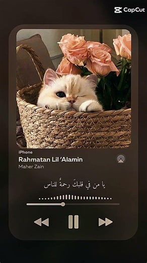 Quran verses| guide with pm official. | #quran #shorts #quranrecitation #qurantilawat