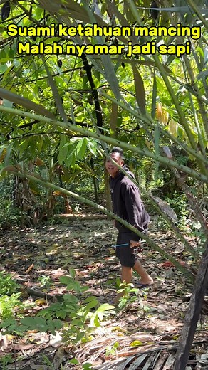 796K views · 29K reactions | Pak suami ketahuan mancing malah nyamar jadi sapi #shinta #lucu #viralindonesia | Shinta.Rona | Facebook