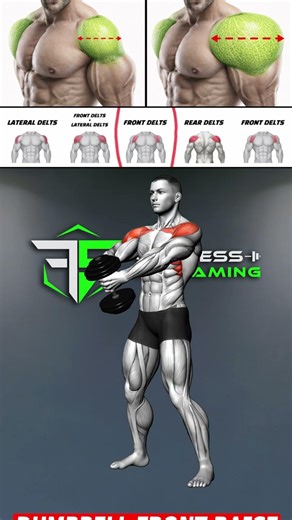 Wider Shoulders Often Come From Consistent Delt Training and Proper Exercise Selection 💪