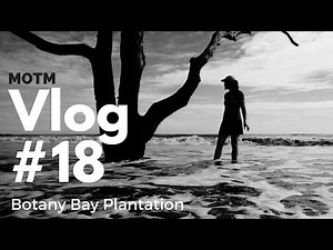 Botany Bay Plantation, South Carolina | MOTM VLOG #18