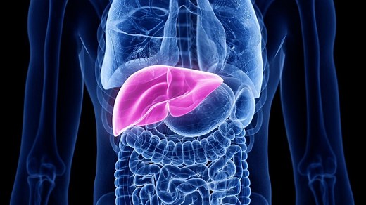 Taux de gamma GT élevé : cause, que faire ?