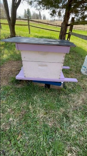 DIY: honey bee hive bottom board and telescoping lid.
