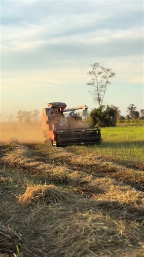 ជាតិកប់សារីម៉ងមេៗ🙄🖤#ត្រពាំងស្វាយភូមិខ្ងុំ❤️️🍃