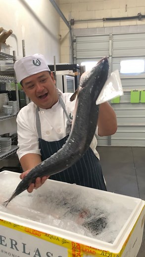 87K views · 16 reactions | Add [Sushi Chef] to your skills!...