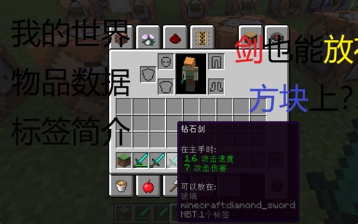 [光明传奇]我的世界minecraft指令教学物品数据标签简介，剑也能放方块上？