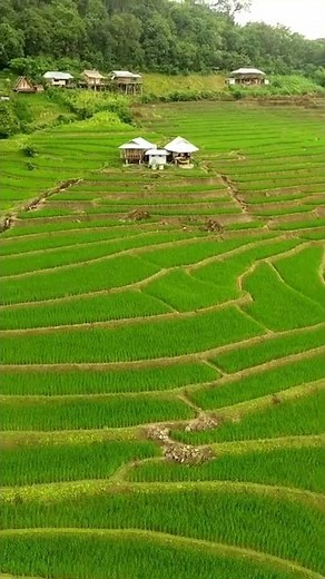 Sapa, Vietnam - The Best Value Destination in Asia