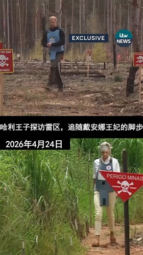 哈利王子在基辅郊外的一片已排雷的森林中漫步。近30年前，他的母亲戴安娜王妃曾在安哥拉做过同样的事情。这位英国王子在基辅州布恰市徒步穿越的区域，是由人道主义组织The HALO Trust进行排雷的。1997年，哈利王子的母亲戴安娜王妃曾通过在安哥拉穿越雷区，将公众的目光引向了该组织的工作。“这令人非常、非常悲伤，因为近30年前我的母亲曾身处安哥拉，而如今我们又陷入了新的冲突之中，”这位王子说道，并指出清除乌克兰境内的地雷将需要数十年时间。