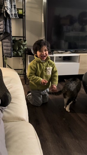 El gsto solo vino #elcompa4 #mexico #giovanna