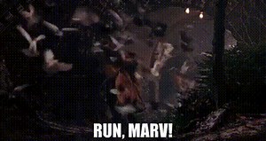 Run, Marv!