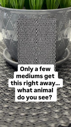 Want to sharpen your mediumship fast?⁠ This is the exact type of exercise I give my students—and it works 👇⁠ ⁠ Step 1: Look at the card⁠ Step 2: Tune in and answer this:⁠ — What animal do you sense?⁠ — What colour are they?⁠ ⁠ Drop your answer in the comments 👇⁠ Then come back for the reveal tonight.⁠ ⁠ Save this post if you’re serious about strengthening your link 👏⁠ And follow for real, grounded, evidential mediumship that *actually* works in 2025.⁠ ⁠ ⁠ #mediumshipdevelopment⁠ #mediumshiptr