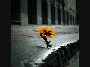 Flyleaf - Beautiful Bride (Lyrics)