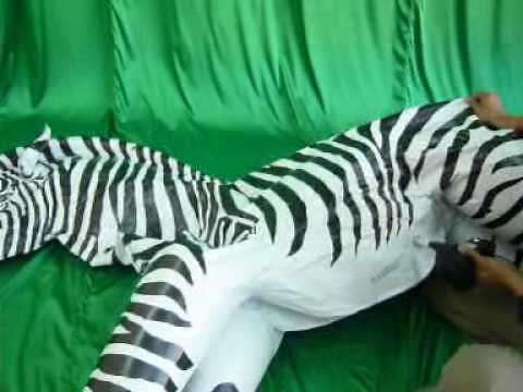 JetCreations' Lifelike Zebra Inflatable Animals