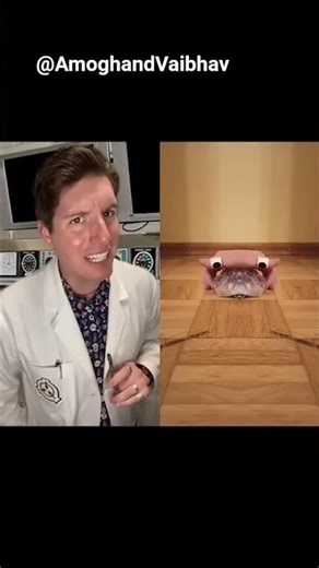 Anomalies Petting Zoo #scp #shorts #fyp #viral