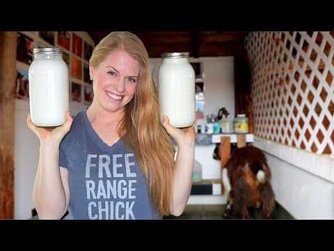 Our Daily Goat Routine at A Life of Heritage Homestead | Raising Goats and Enjoying It!