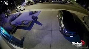 Increased bear activity expected in the Okanagan