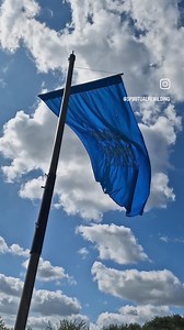 2.9K views · 27 reactions | As the elements dance in the wind, which element do you feel most connected to—Earth, Air, Fire, or Water? And why do you think that is?  | Spiritual Rewilding | Facebook