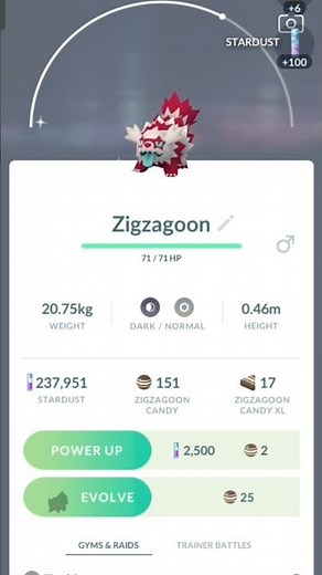 Pokémon GO: I Finally Caught My Shiny Zigzagoon