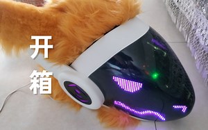 【馆长】开箱视频#1 Protogen兽装开箱