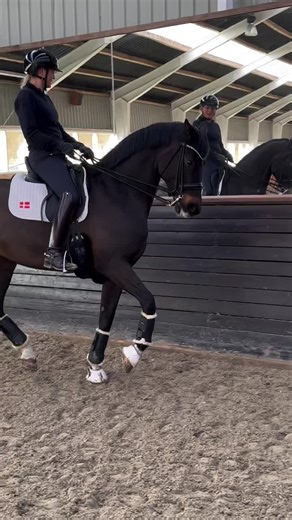 ❤ (@horse_agent_) - Dressage Legends: A Celebration of Equestrian Excellence