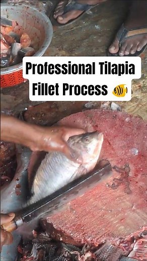 Tilapia Fish Cutting Video | Fresh & Clean Fillet Process | Satisfying Seafood Prep 🐟🔪