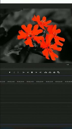 Leave color effect in Adobe Premiere pro