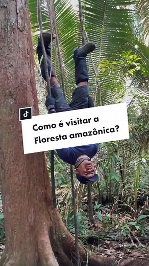 Explorando a Amazônia: Uma Viagem Inesquecível