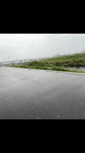 #車椅子散歩#犬と車椅子 おはようございまーす。雨ですが今日もいい1日をお過ごし〜 | SO ウィル・プラス
