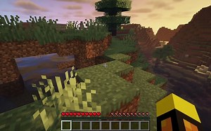 mc java版本 1.16.5 光影试验（插件是optifine）
