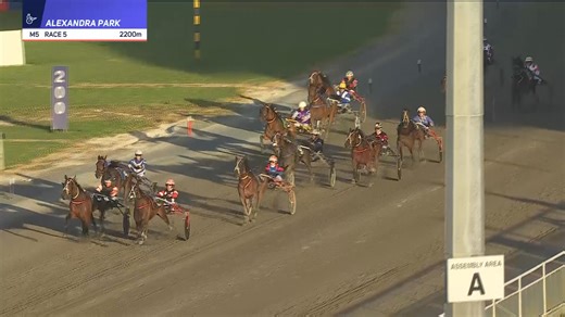 Ya Rite Darl claims Group One glory in the TAB Queen of Diamonds Fillies & Mares FFA 🏅🎉 John Dunn steers the filly to victory for the Diamond Racing team 🌟 Harness Racing New Zealand | Woodlands Stud NZ | Diamond Racing Stables | Trackside NZ