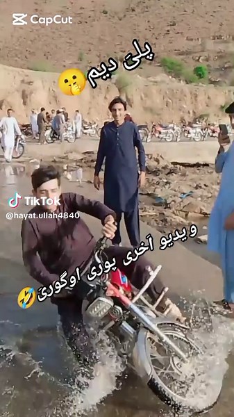 Funny Deer Encounter Compilation