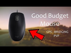 Bridging and Clicking Methods - Logitech B110 - Budget Mouse (Under $15)