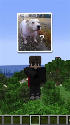 Zonex on Instagram: "TRUCO SECRETO con los COFRES en Minecraft!! #minecraft #gaming"