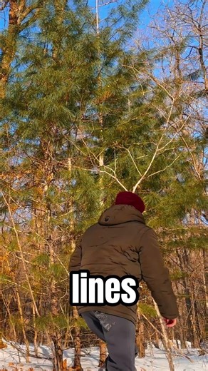 I noticed this on satellite images #shortsviral #recommended #nature