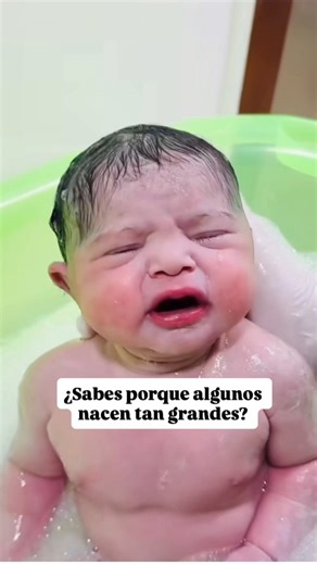 La macrosomía fetal es el término que se usa cuando un bebé crece más de lo esperado dentro del útero. Generalmente se considera macrosomía cuando el bebé pesa más de 4,000–4,500 gramos al nacer. No siempre significa que haya un problema, pero sí puede aumentar ciertos riesgos durante el parto. Las causas más comunes son: • diabetes gestacional o diabetes previa • niveles altos de glucosa en la madre • genética (padres grandes) • aumento de peso excesivo en el embarazo • embarazos que se prolong