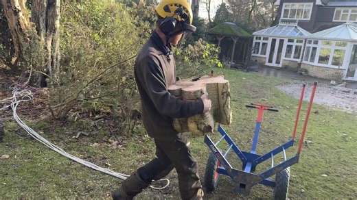 Exploring the Arb Trolley with BJ the Apprentice