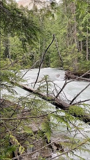 The Robson River, Mount Robson Provincial Park