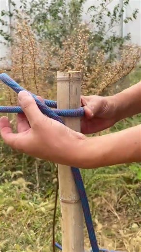 Ancient Pig's Trotter Lock: Master It in One Move! Knot, AncientCraft, DIY, History, Enter
