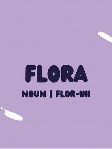 Understanding Flora: The Significance of Plant Life