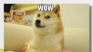 „PIESEŁ” CZYLI NAJPOPULARNIEJSZY PIES Z MEMÓW