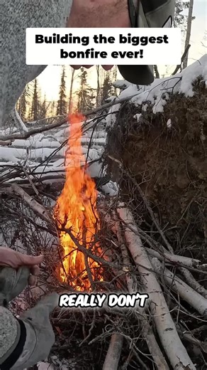 Cold night prep: Big bonfire to melt snow and warm the shelter. Survival mode activated. #outdoorboys #survival #bushcraft #wilderness #preparedness #fire