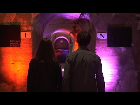 Romain Lefevre & Marie Avril - Comme une évidence (Clip Officiel)