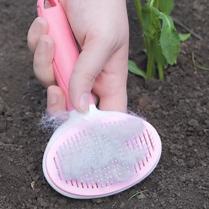 Anti-pest hacks for a healthy garden! | 5-Minute Crafts