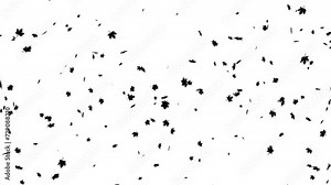 Autumn Leaves. Autumn Leaf Particles. Loop Animation With Alpha Matte Channel.