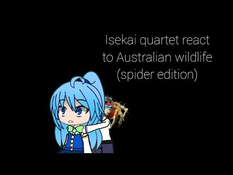Isekai Quartet react to Australian wildlife (spider edition)