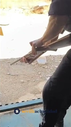 Liberan a un mono tití protegido en Isla Cristina y hallan un arma en un registro en Utrera