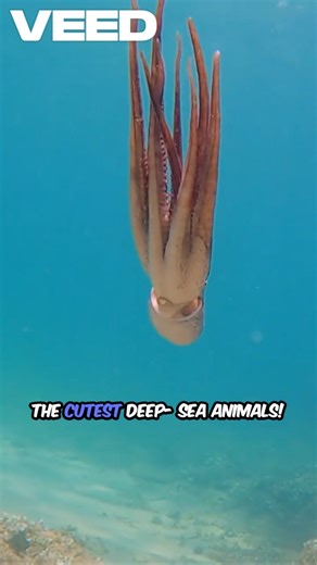 Amazing Deep Sea Creatures That Look Like Aliens! 🌊👽 #shorts