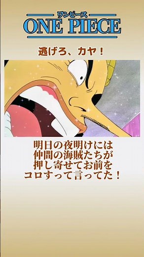ワンピース-逃げろ、カヤ！-