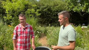 36K views · 1K reactions | Németh Benjamin kertművész barátommal...