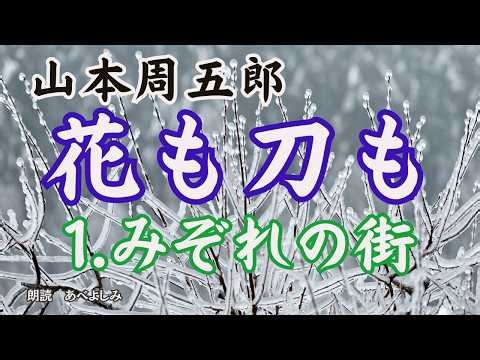 [Reading] Shugoro Yamamoto "Hana mo Katana mo" (Flowers and Swords) Part 1: Sleet-Filled Town - N...