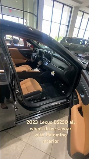 2023 Lexus ES 250 AWD caviar with palomino interior
